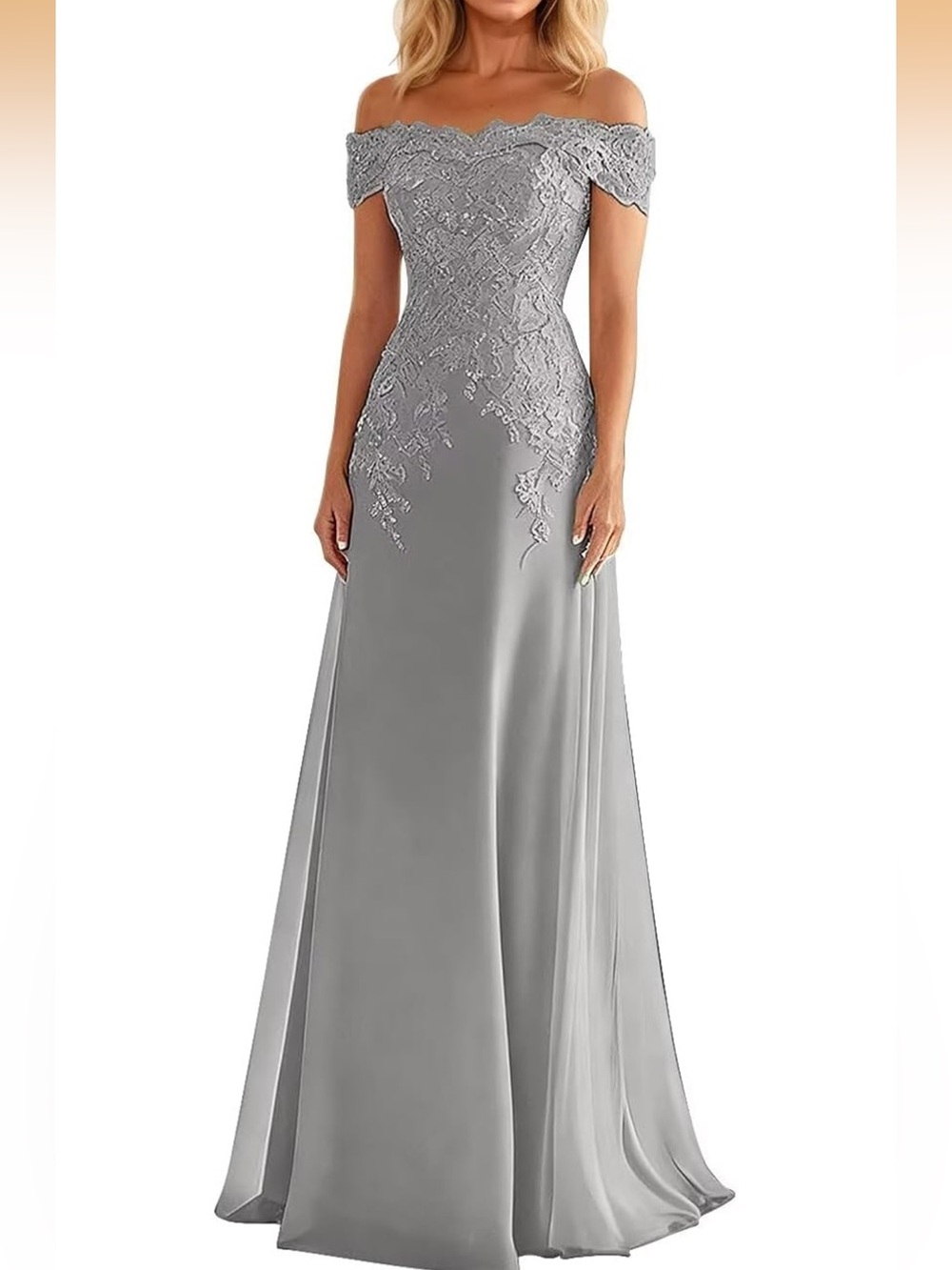 Ryanth Lace Appliqué Off-Shoulder Gown Silver/Gray Size 12 NWT